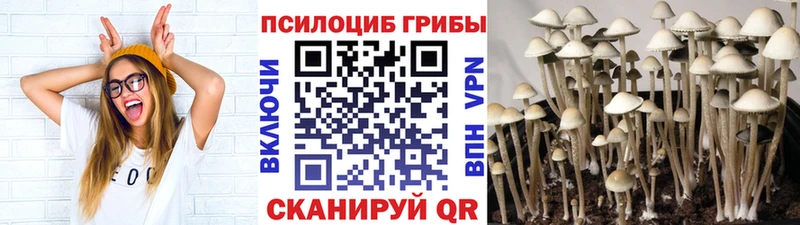 Псилоцибиновые грибы MAGIC MUSHROOMS  Купить где  Лангепас 